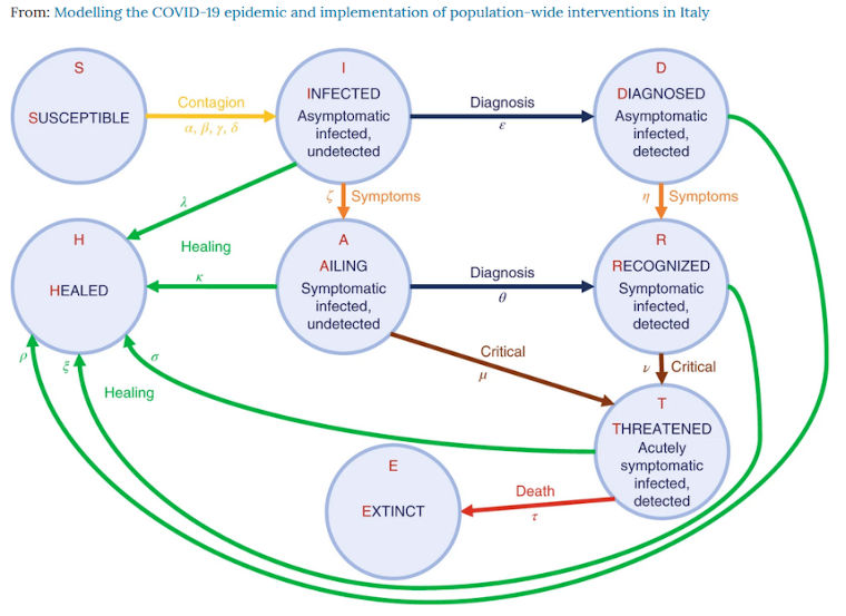 modelling the covid-19 epidemic