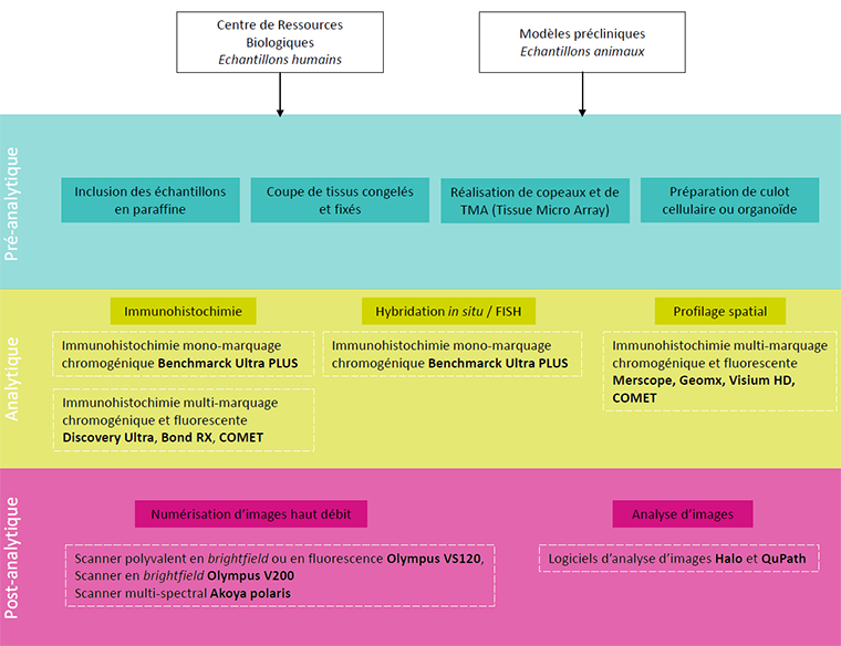 Tableau expertises