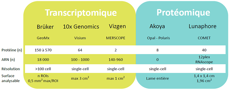 Tableau expertises